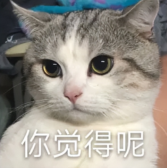 某手机跑分344万？安兔兔：这都敢编是把消费者当傻子？