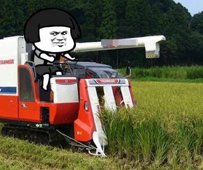 年化利率400%，被高利贷玩废的租机正疯狂吞噬年轻人