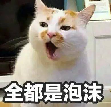 火出天际的人形机器人，第一批独角兽开始闪崩进ICU了？