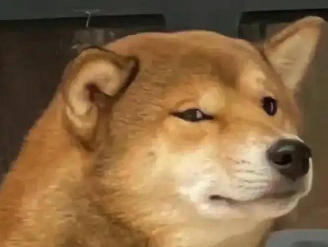 中文提醒仅韩国人可入场，鸣潮是蠢、鸡贼还是坏？