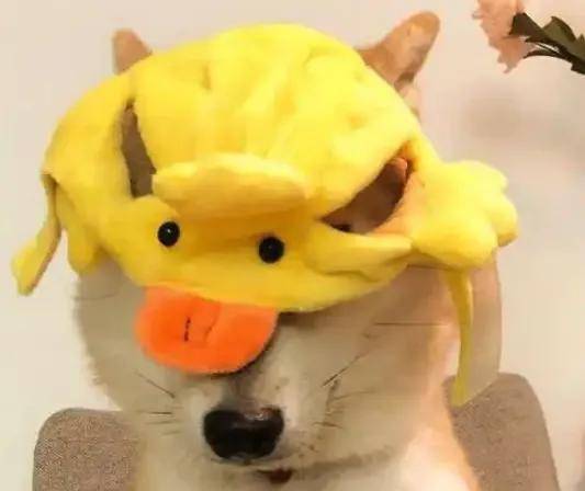 仅退款全面取消了，硬控十亿网友的摇一摇广告啥时候能治？