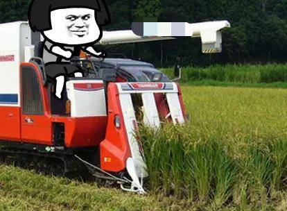 智驾、接管、脱手等词被禁用？车企发布会以后还怎么吹……