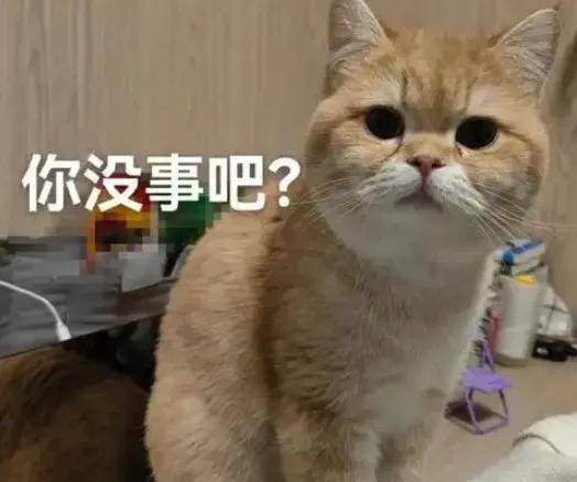 一则能喝奶茶就别喝水通知，写满了奈雪的茶加盟商的辛酸