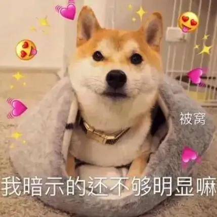 中文提醒仅韩国人可入场，鸣潮是蠢、鸡贼还是坏？