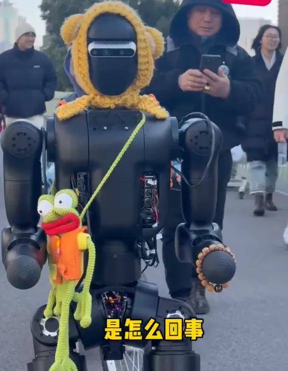 火出天际的人形机器人，第一批独角兽开始闪崩进ICU了？