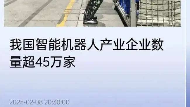 火出天际的人形机器人，第一批独角兽开始闪崩进ICU了？