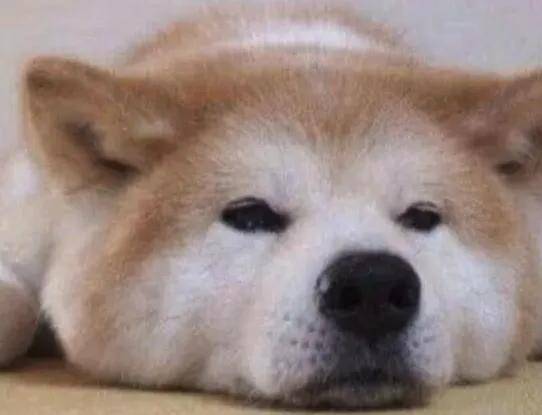 169名主播被查补8.99亿，网红到底能有多挣钱？