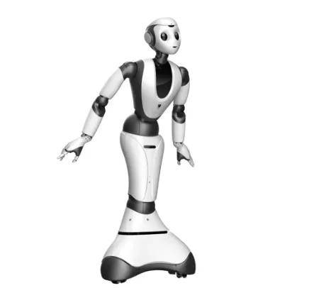 火出天际的人形机器人，第一批独角兽开始闪崩进ICU了？