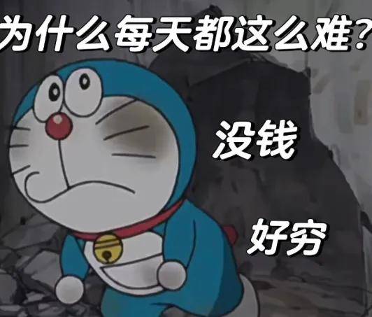 火出天际的人形机器人，第一批独角兽开始闪崩进ICU了？