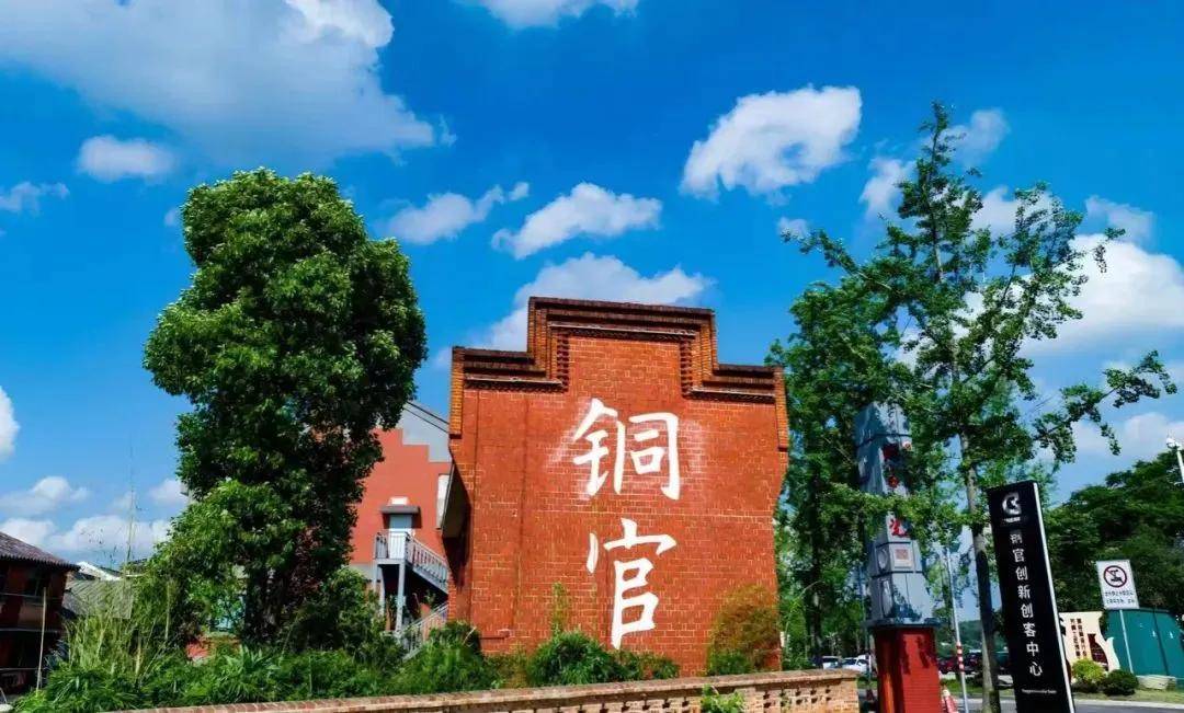 青春作笔写华章：青年人才共绘望城发展新图景