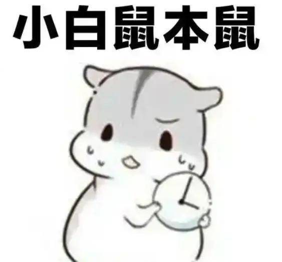 智驾、接管、脱手等词被禁用？车企发布会以后还怎么吹……