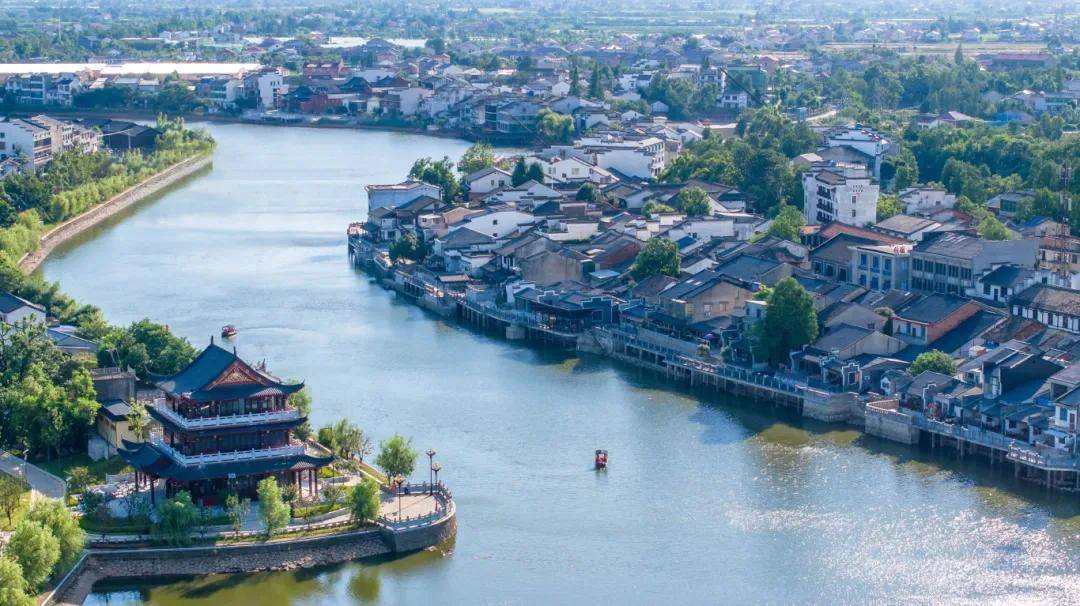 青春作笔写华章：青年人才共绘望城发展新图景