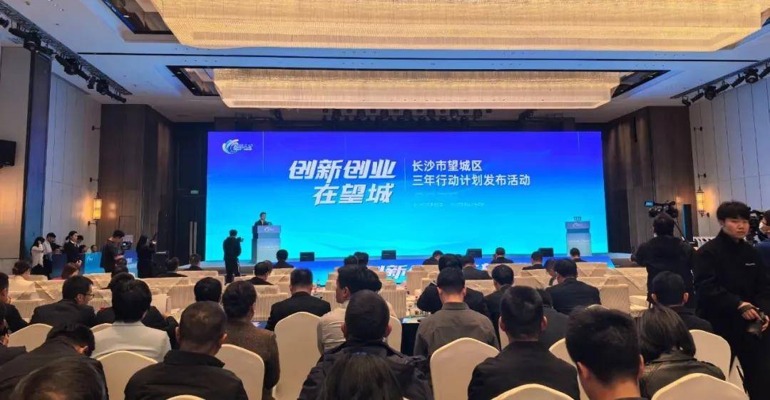 青春作笔写华章：青年人才共绘望城发展新图景