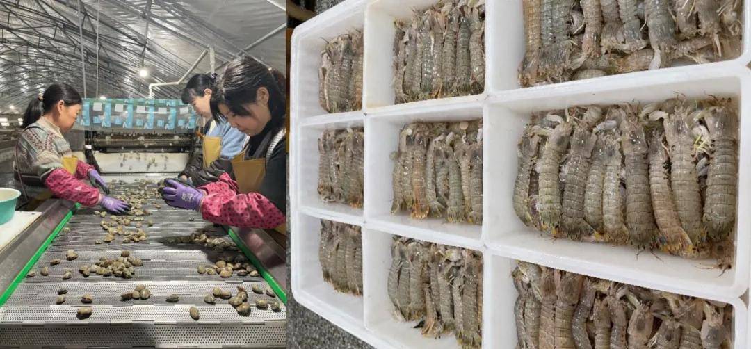 电商开启新纪元，就一个字“拼”