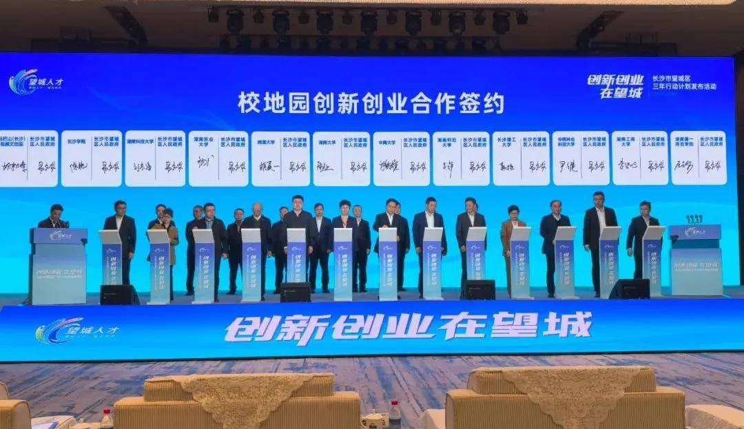 青春作笔写华章：青年人才共绘望城发展新图景