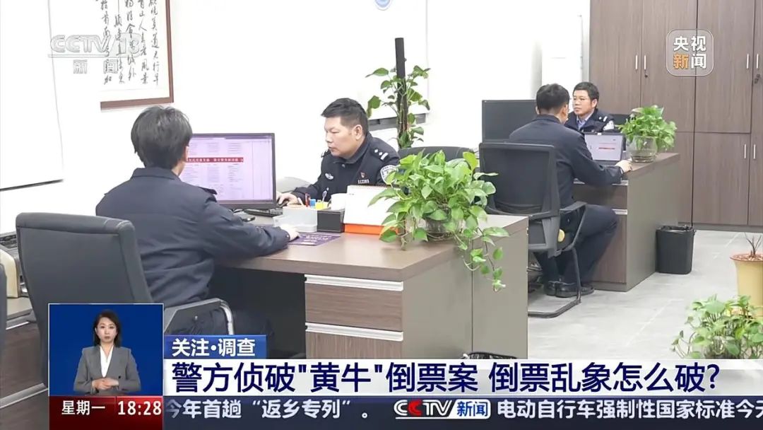 黄牛2.0，比粉丝更疯狂