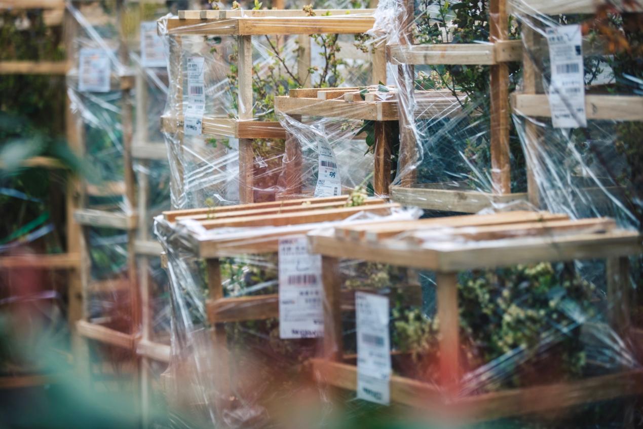 “千亿扶持”加码农业，拼多多如何改写乡村供应链？