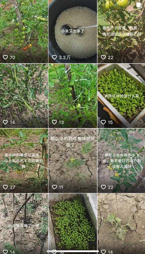 到底有没有被友商攻击抹黑？小米高管多条动态爆猛料……