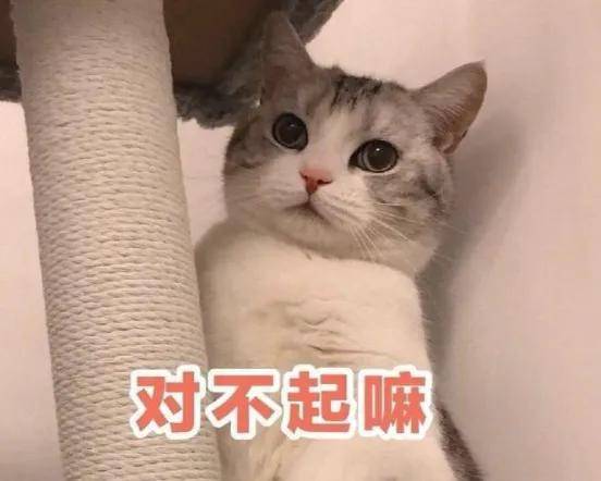 车机投广告、买车送离职，深蓝汽车CEO有点牛……