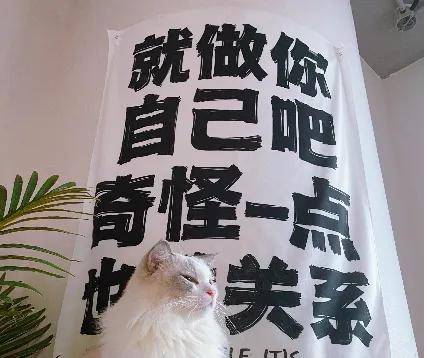 诋毁小米的海信Vidda，三年干到了行业第二？