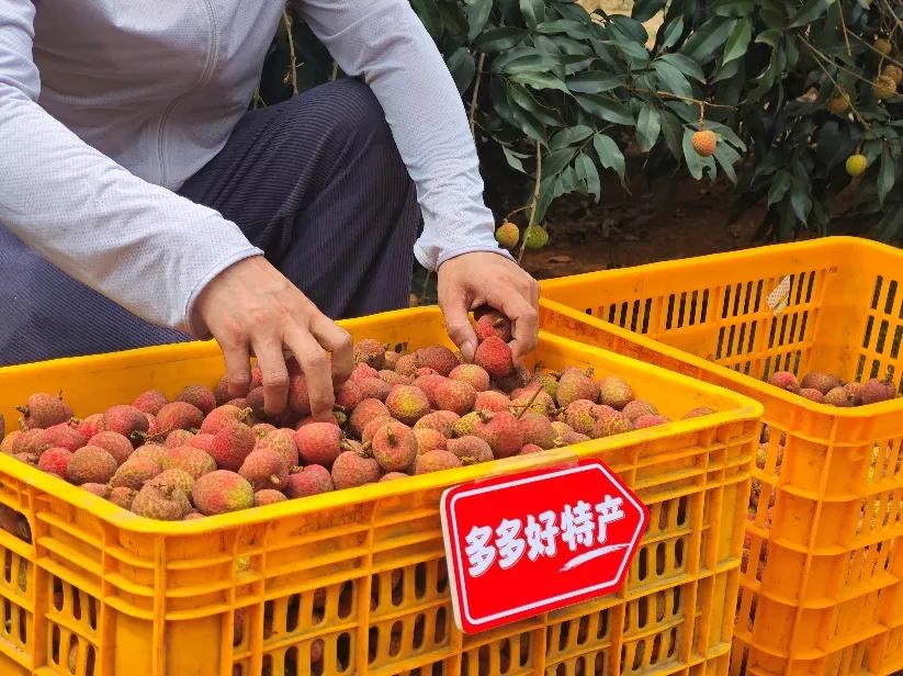 营销费用暴增100亿，拼多多“千亿扶持”真金白银反哺商家