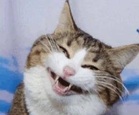 演出完集体退货，六一儿童节成了服装商家的灾难日……