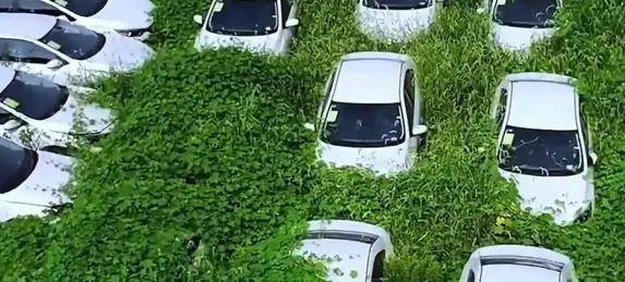 汽车行业的恒大已经出现了？会是谁……