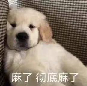 疯狂的黄金赌徒！网贷60万炒金，一天亏掉6年工资……