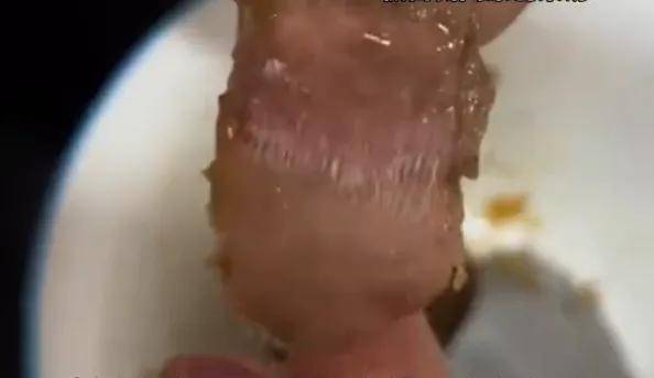 来伊份吃出带血创可贴？网友：高价品牌零食恶心出新高度