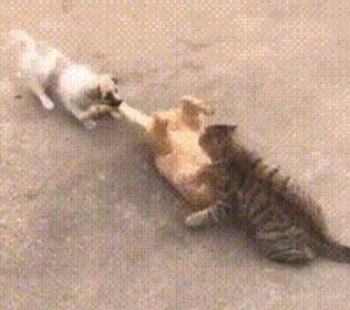 演出完集体退货，六一儿童节成了服装商家的灾难日……