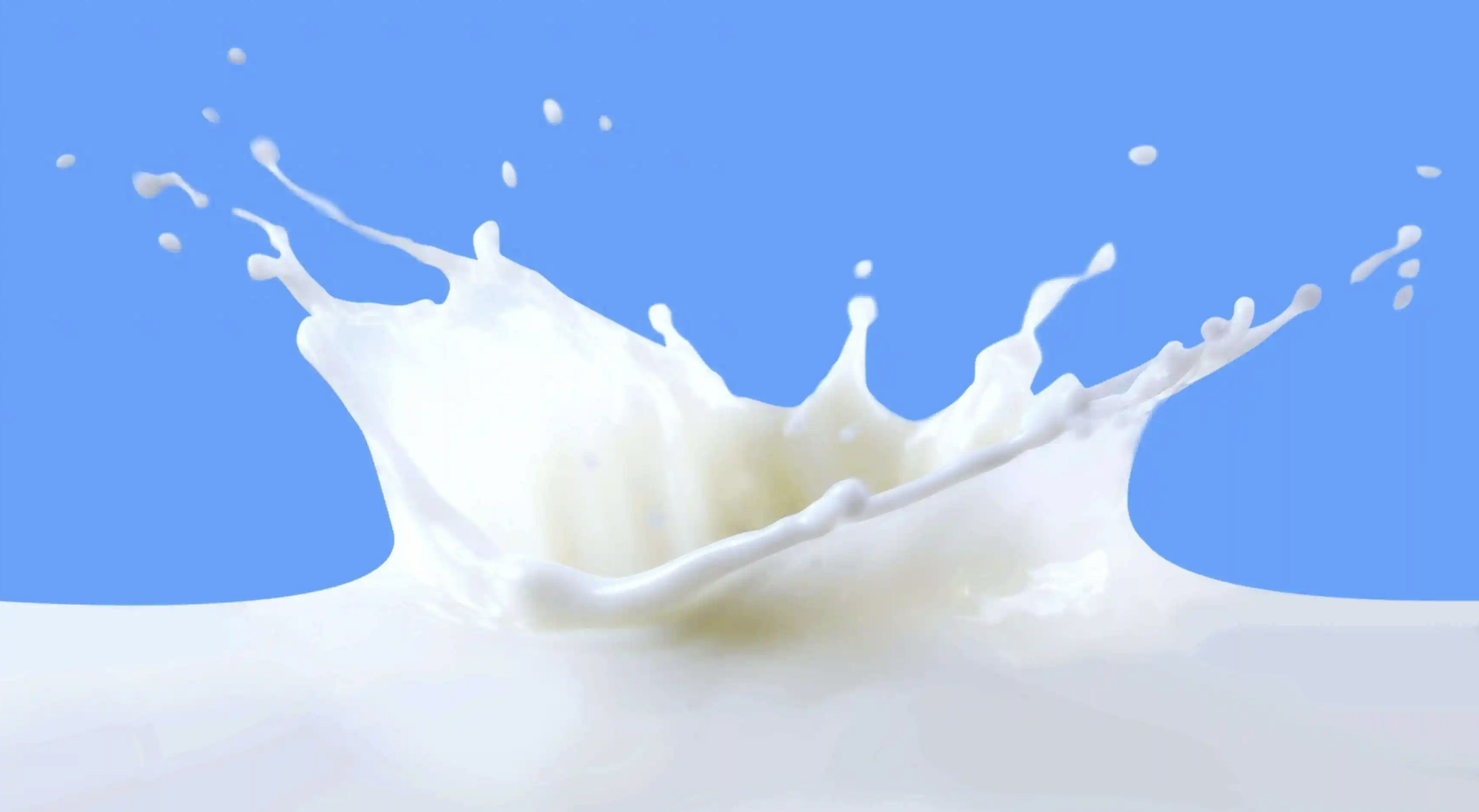 乳业逆风局，巨头们的“上分”实战