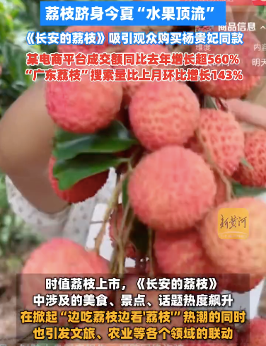 《长安的荔枝》：长剧穿越周期的“保鲜”底气在哪？