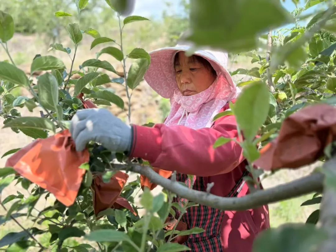 拼多多持续推进千亿扶持，助力稳岗促就业