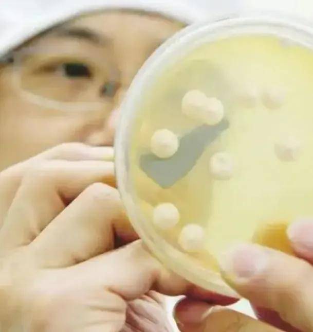 618蛋白粉大战背后值得关注的隐形冠军