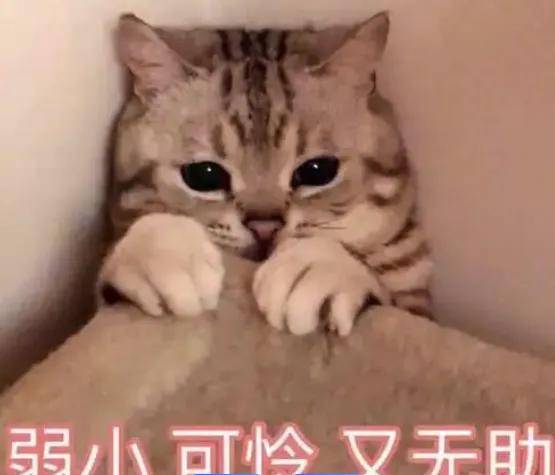 618摇一摇广告又杀疯了！打开任何APP手都不敢动…