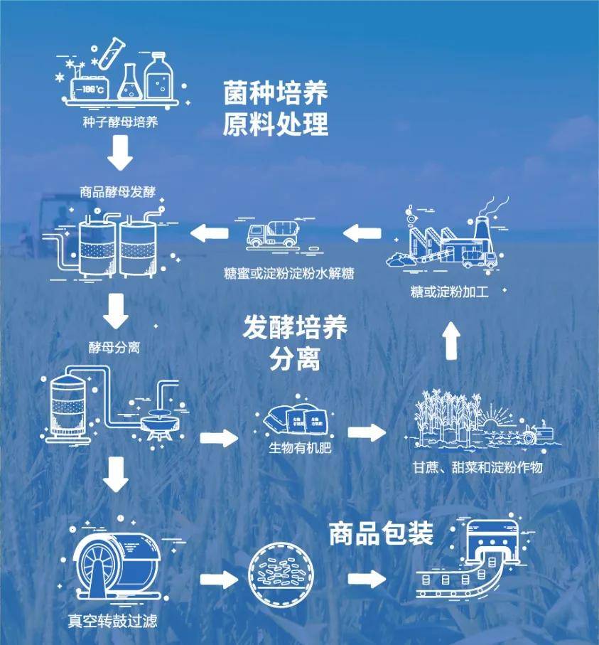 618蛋白粉大战背后值得关注的隐形冠军
