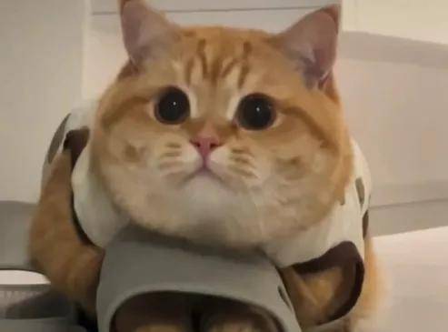 20一个当盲盒卖……机场拦截充电宝大量流入二手平台？