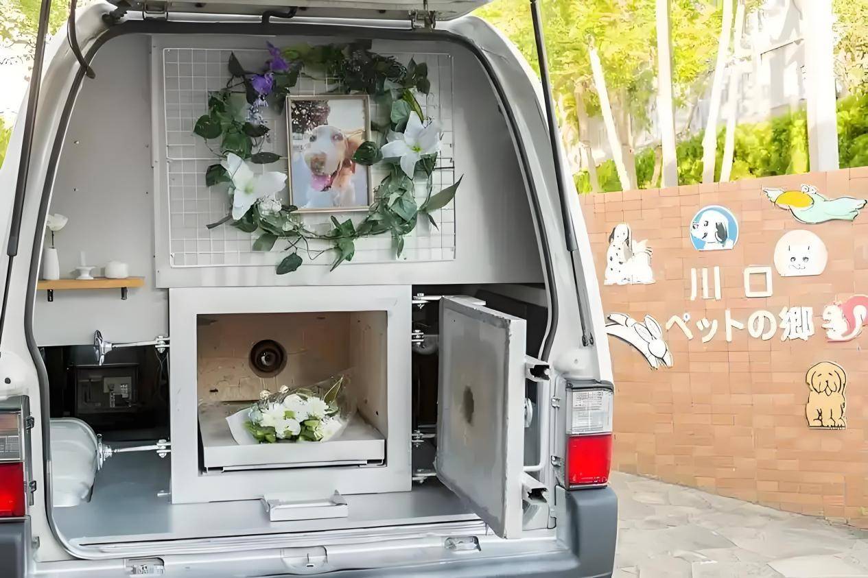 新技术能把天价殡葬的价格打下来吗？