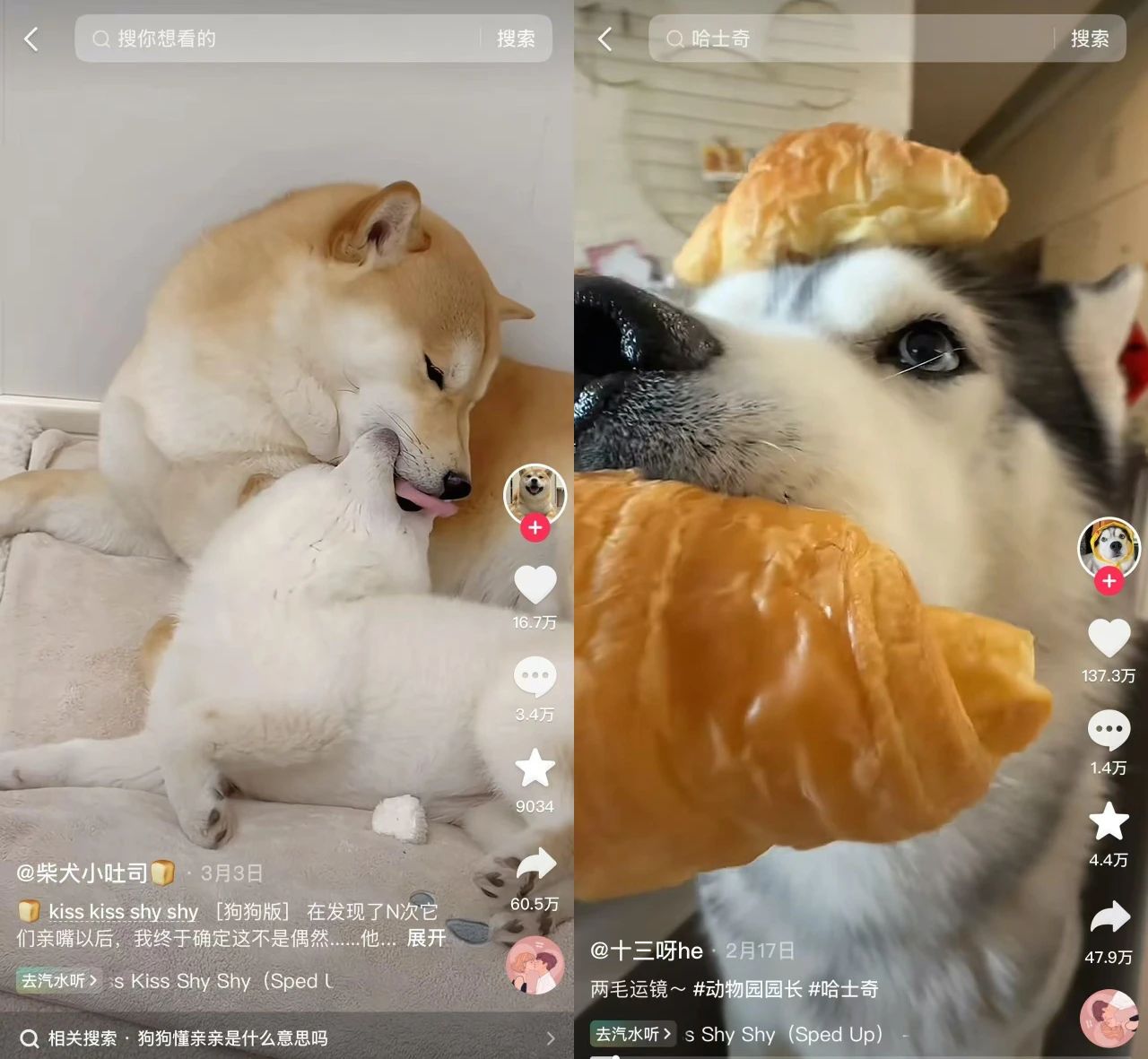 “流量场”进化“价值场”：抖音+汽水音乐构建“人歌共生”新生态