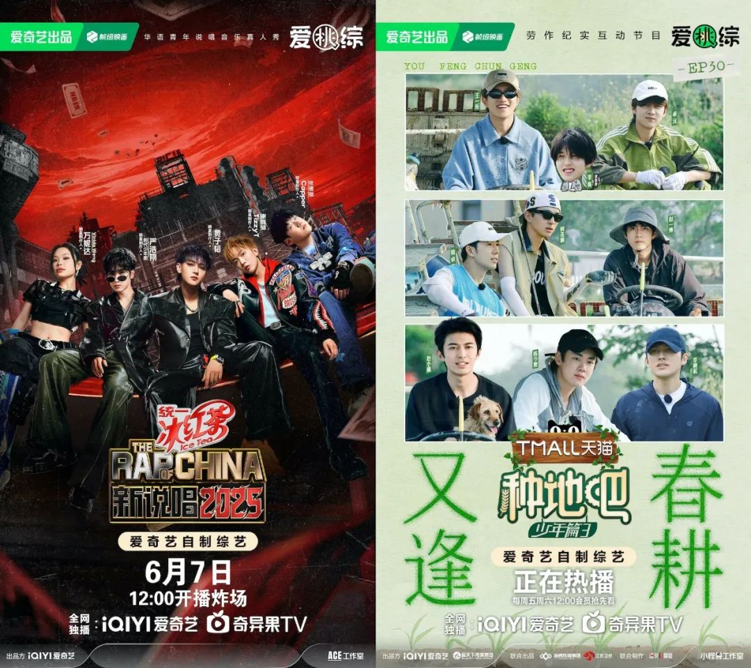 年中观察：综N代激战、新综出黑马，爱奇艺综艺“一路繁花”