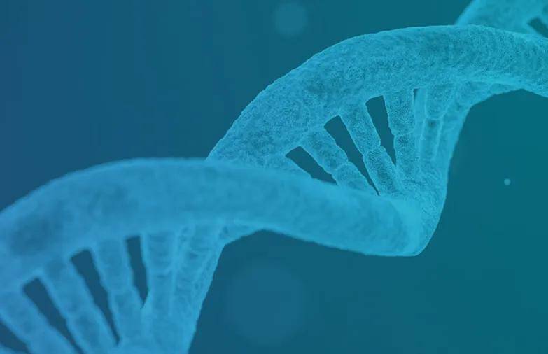 疫苗之王科兴拟分红近540亿！张雪峰：给哪国股民发…