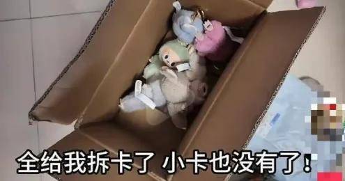 12万笔记吐槽Labubu被拆盒偷换，快递员杀疯了？