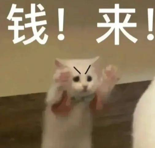 辛巴、黄子韬、陈年…为何网红明星都盯上了卫生巾生意？