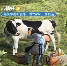 胖东来入局，国产奶粉信任重建有戏了……？