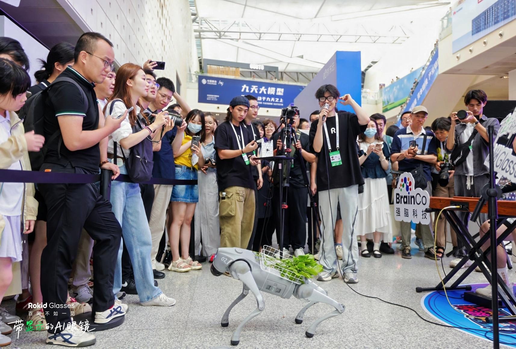 WAIC 见证：Rokid 引领 AI 交互新范式