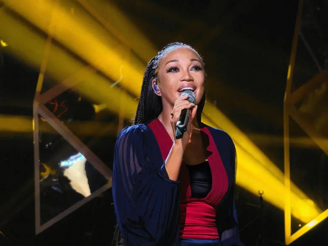 这些上过《歌手》的海外歌手，现在怎么样了？