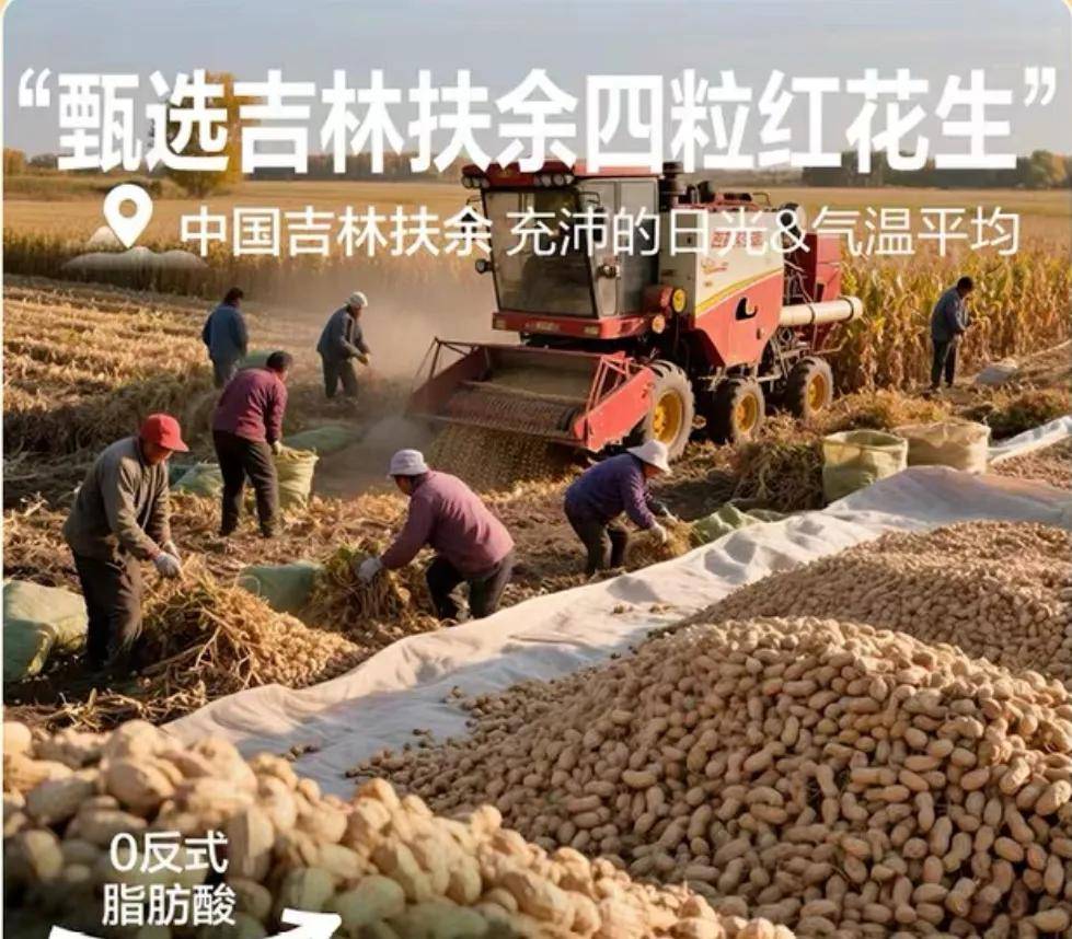 良品铺子花生上树！AI降本增效变增笑第一案例诞生了……