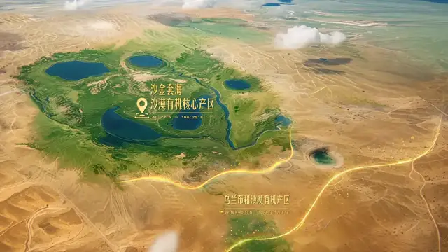 当其他品牌选择"向下"时，特仑苏为什么坚持“向上”？