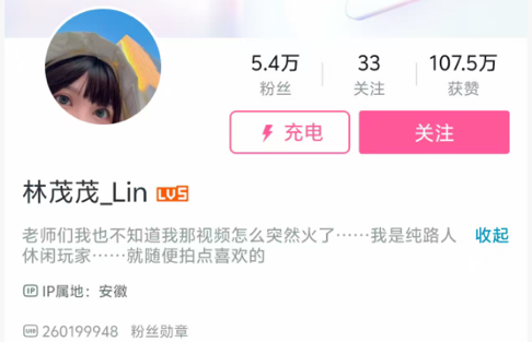 在B站“养大”的动画IP，今夏集体出圈了