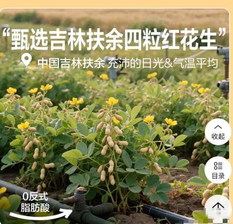 良品铺子花生上树！AI降本增效变增笑第一案例诞生了……